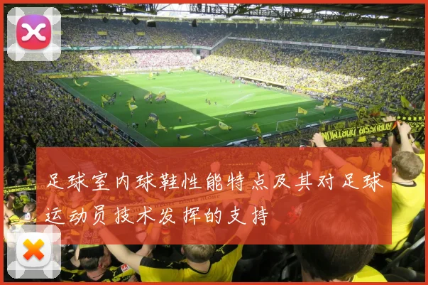 足球室内球鞋性能特点及其对足球运动员技术发挥的支持